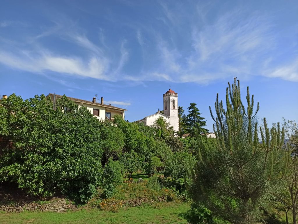 Massanes amb l'església de Sant Esteve al fons, envoltada de vegetació. (fotografies)